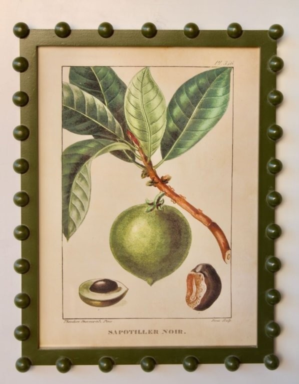 Fruit Picture Green Bobble Frame